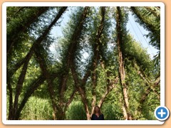 2017-07-04_Gartenschau_Ausklang_023